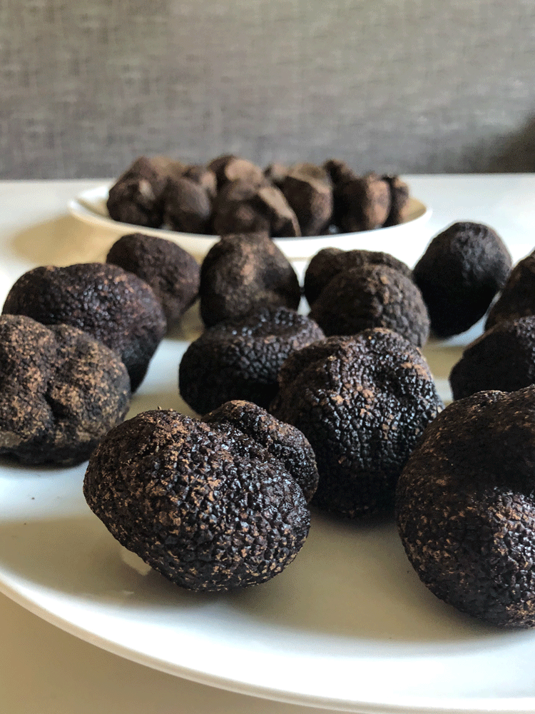Plates of Australian Truffles available at Il Tartufo Di Massimo in Amsterdam