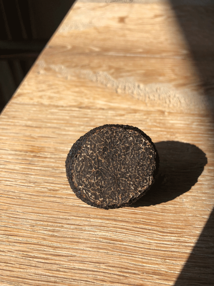 A close up of a cut Australian Truffle showing the inside. Available for sale at Il Tartufo Di Massimo Amsterdam