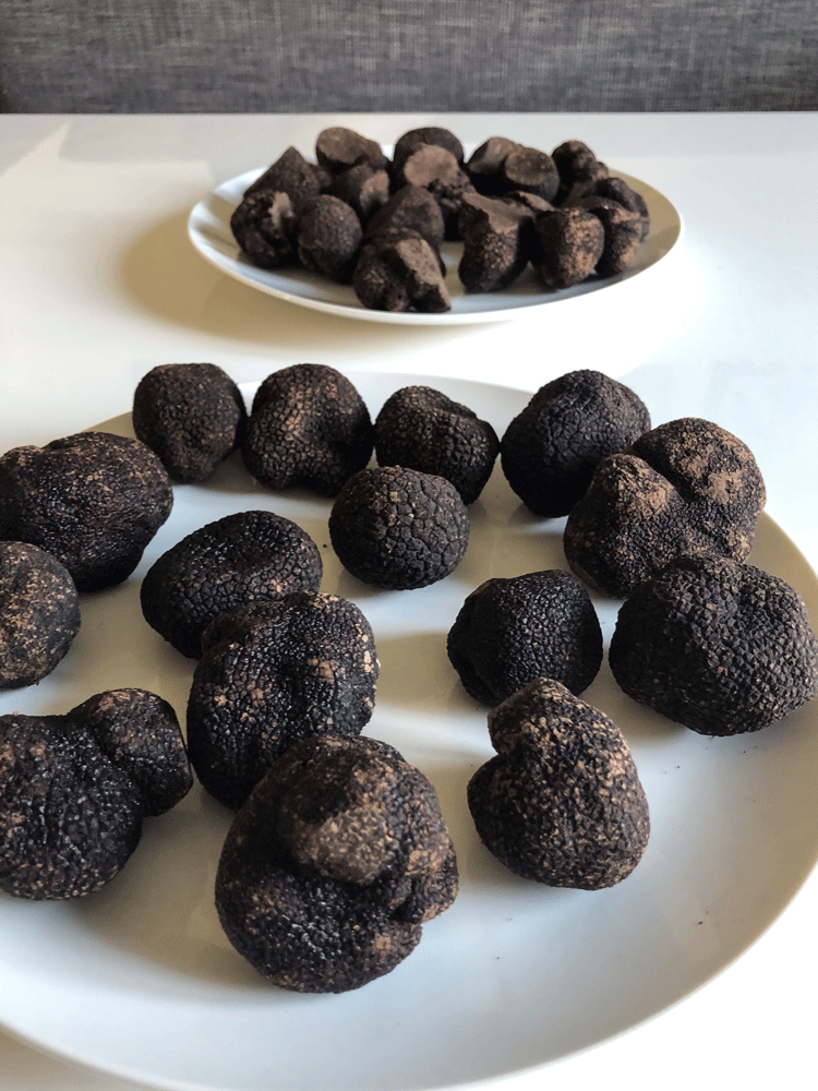 Plates displaying Australian Truffles by il Tartufo di Massimo in Amsterdam, The Netherlands