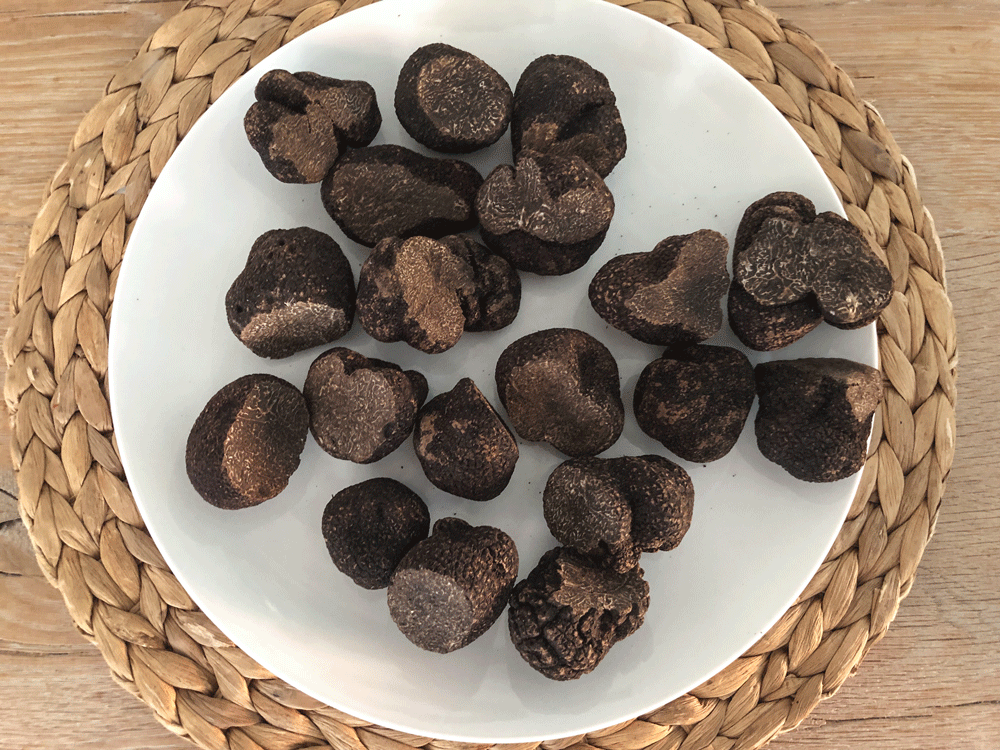 A plate displaying Australian Truffles by Il Tartufo Di Massimo