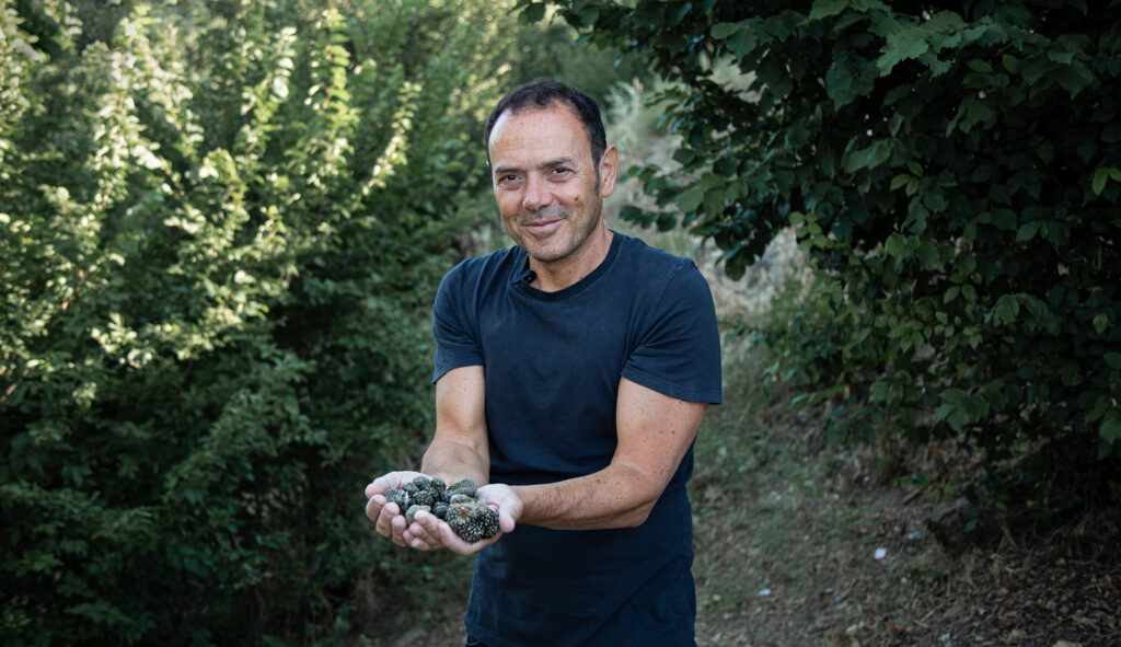 Massimo Damiano, Founder of Il Tartufo di Massimo